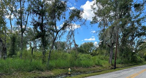 SEMINOLE LAKE BLVD & HICKMAN AVE PLANT CITY FL 33563