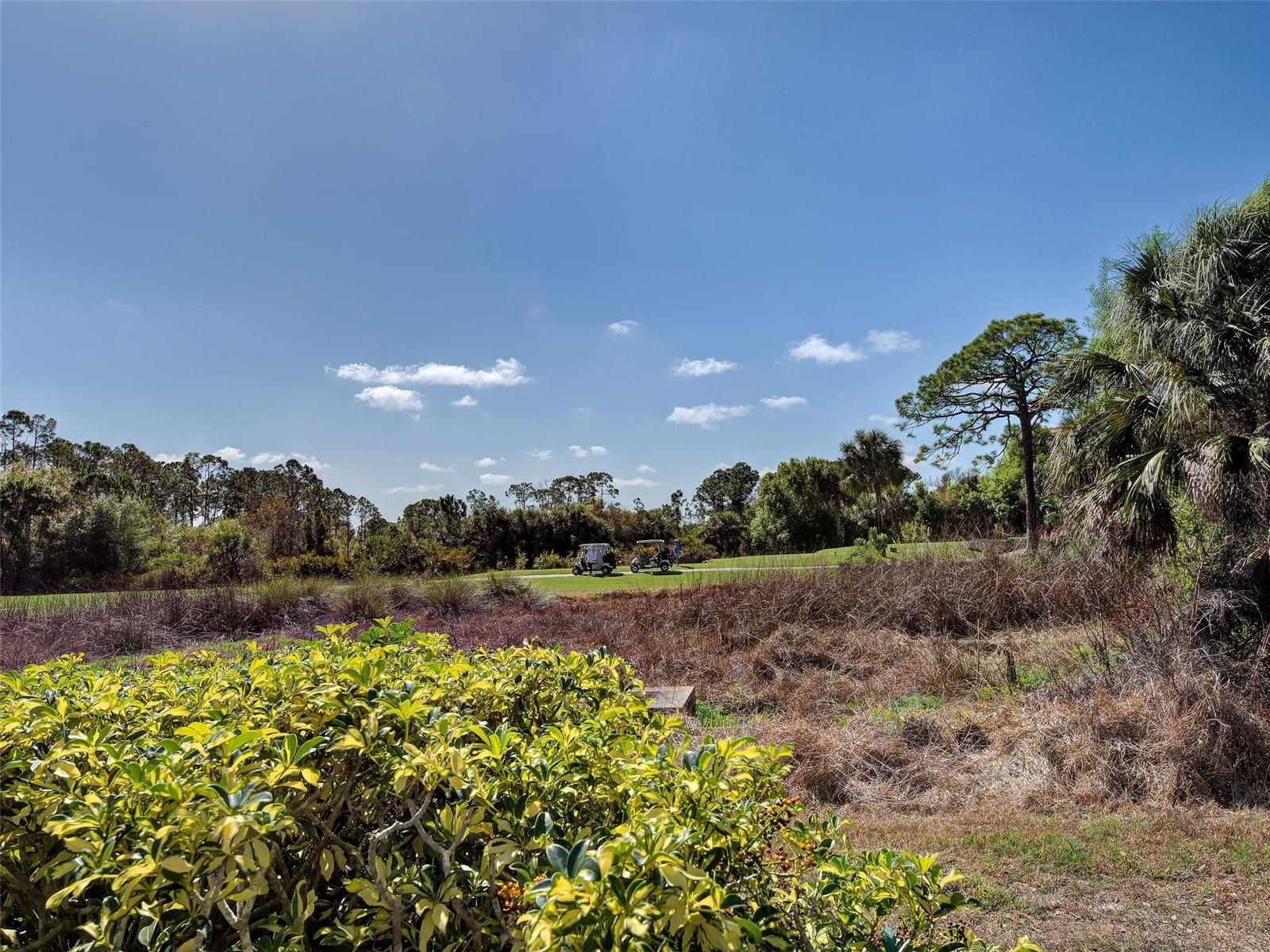 VENICE GOLF & COUNTRY CLUB - Residential