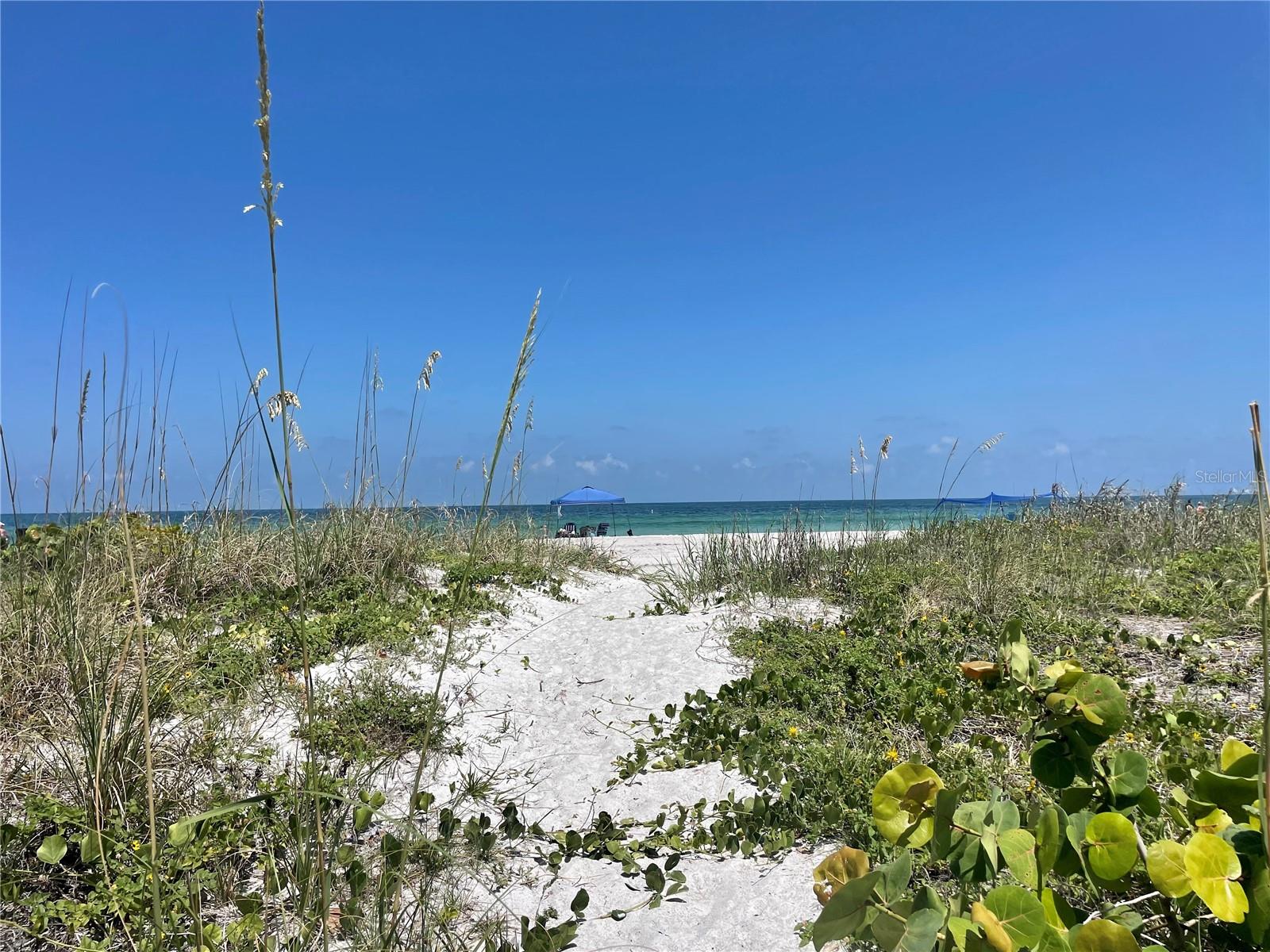 SAND KEY CONDO-BAYSIDE II - Residential Lease