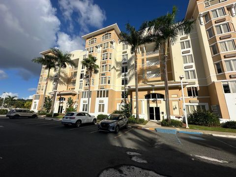 199 AVE. PALMA REAL PH GUAYNABO  00966