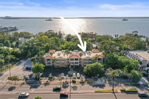 950 BROADWAY 103 DUNEDIN FL 34698