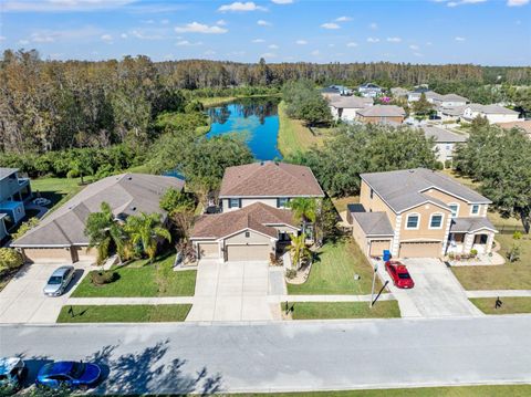 A home in LAND O LAKES