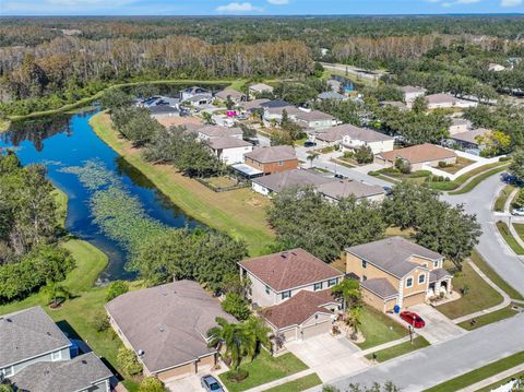 A home in LAND O LAKES