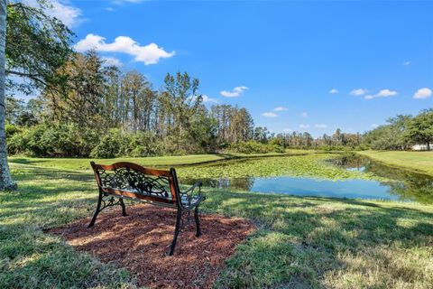 A home in LAND O LAKES