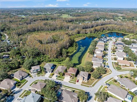 A home in LAND O LAKES