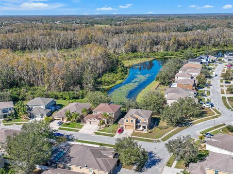 A home in LAND O LAKES