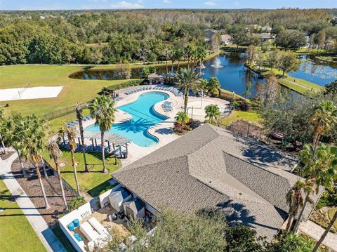 A home in LAND O LAKES