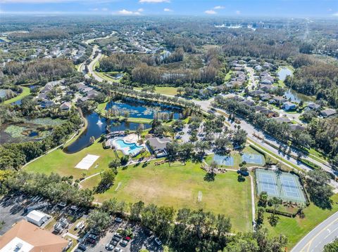 A home in LAND O LAKES