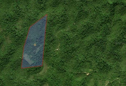 RD 486 KM 7.5 ABRA HONDA CAMUY  00627