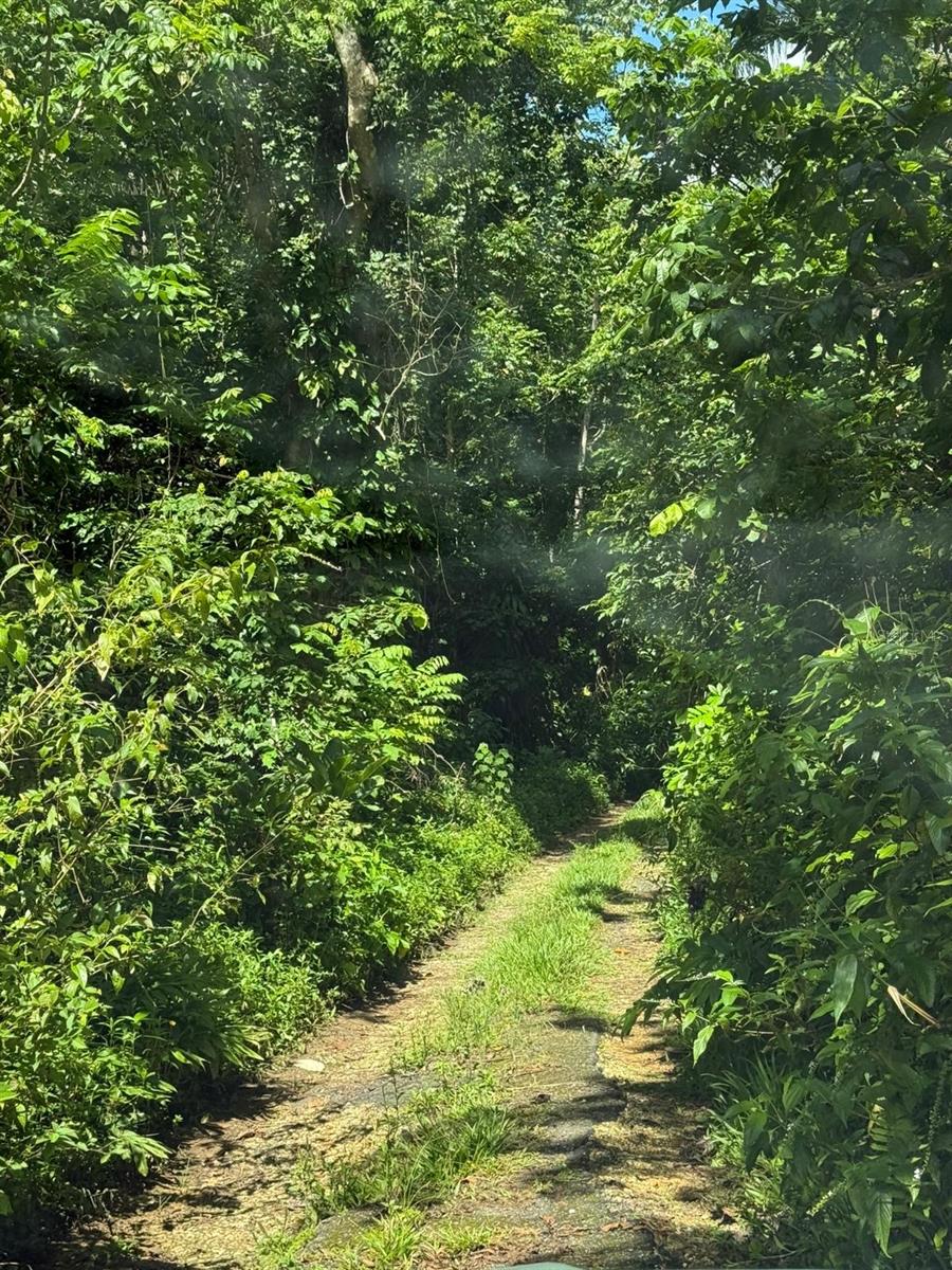 RD 486 KM 7.5 ABRA HONDA