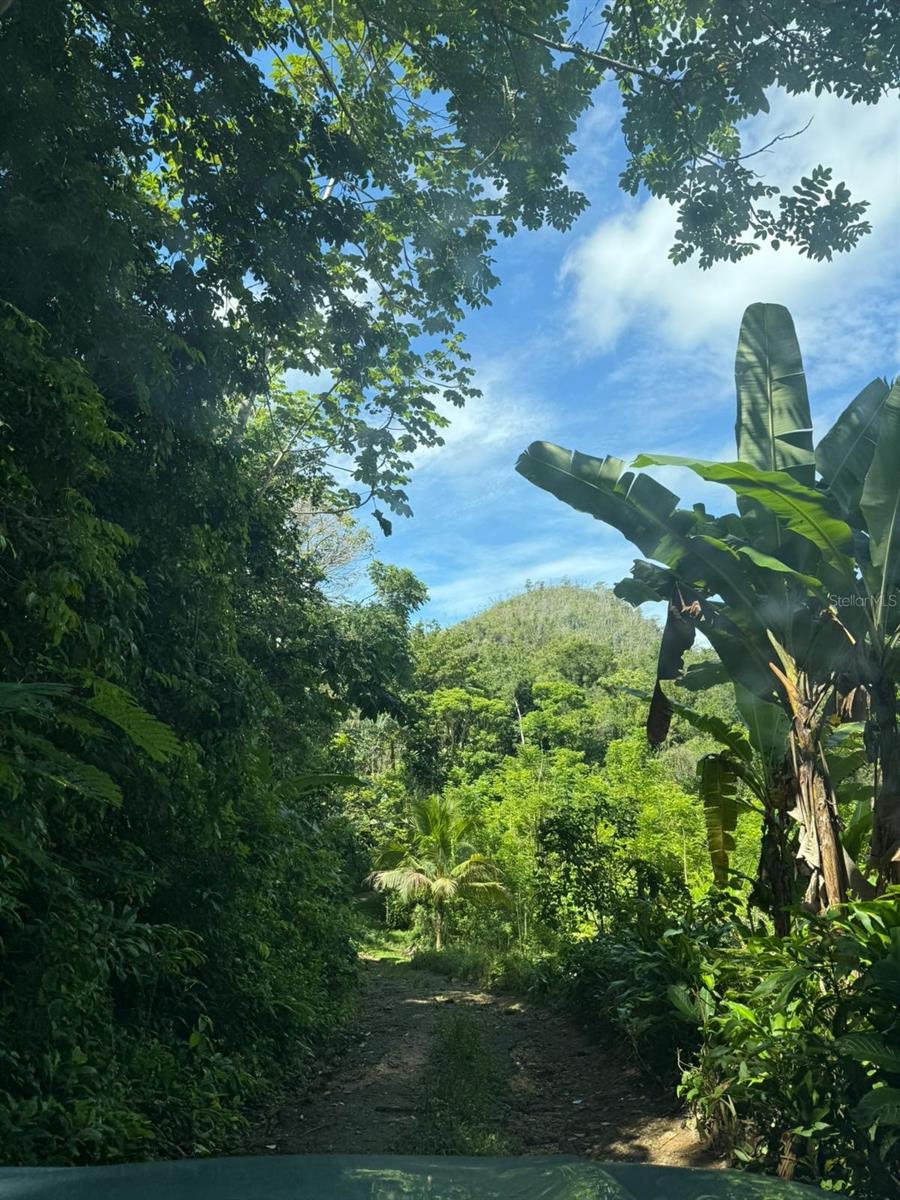 RD 486 KM 7.5 ABRA HONDA