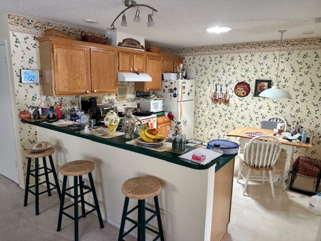 VILLAGES OF SUMTER VILLA DEL CANTO - Residential