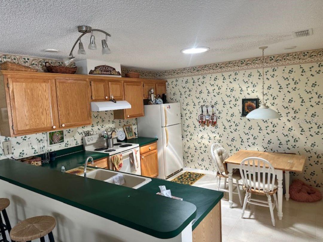 VILLAGES OF SUMTER VILLA DEL CANTO - Residential