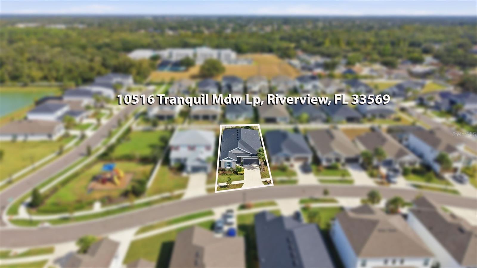 ECHO PARK - Residential