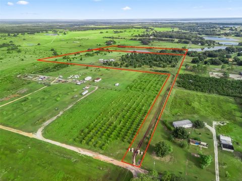 Tiny photo for Punkin Center Road, Leesburg, FL 34748 (MLS # G5102164)