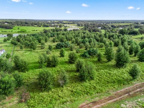 Tiny photo for Punkin Center Road, Leesburg, FL 34748 (MLS # G5102164)