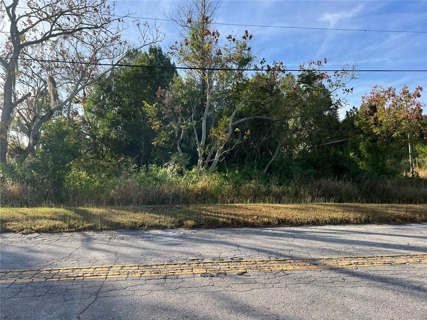 Don't miss this .21 acre, buildable homesite near Crooked Lake.   Centrally located in Babson Park near shopping, restaurants, both Webber International University and Warner University and steps away from Crooked Lake, the second-largest lake in Polk County.  Its the perfect spot to build your dream home. Call today!