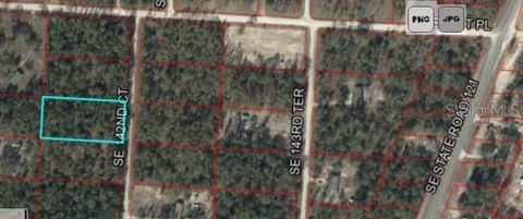 Photo of Xxx SE 142nd Court, Morriston, FL 32668 (MLS # GC536000)