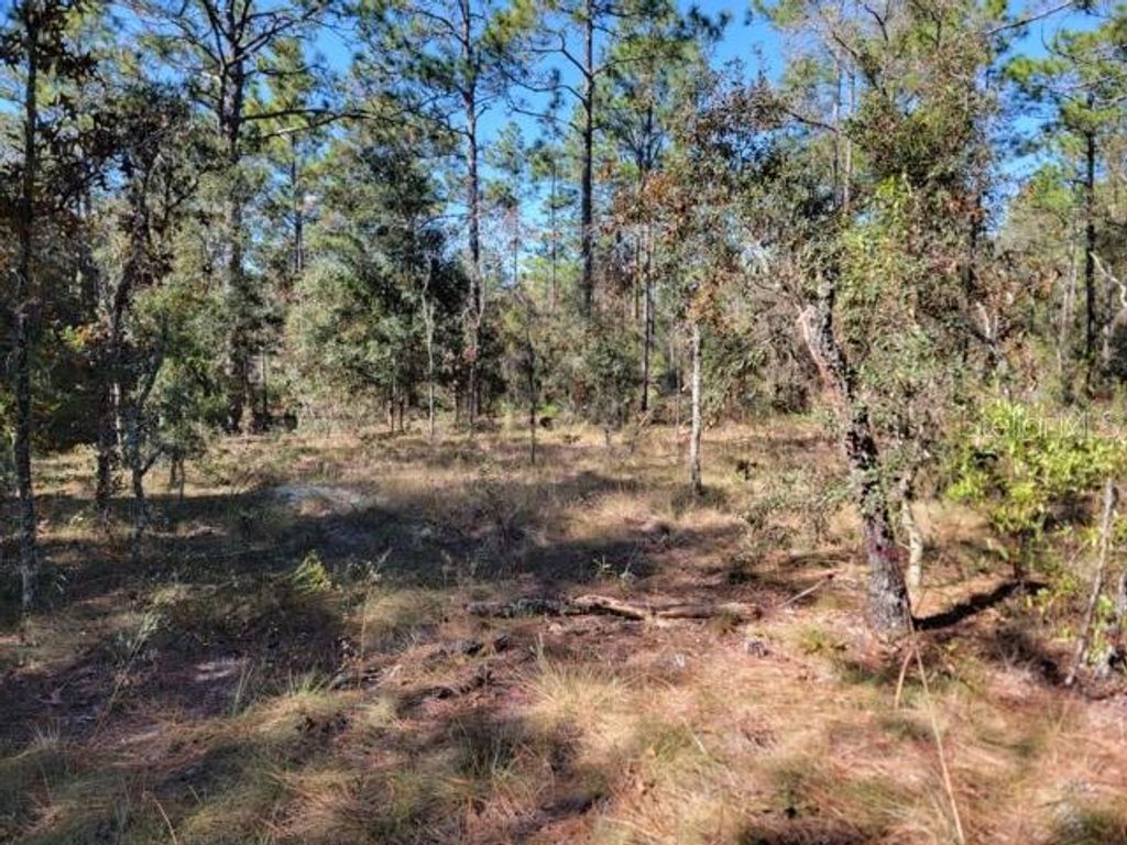 Photo of Xxx SE 142nd Court, Morriston, FL 32668 (MLS # GC536000)