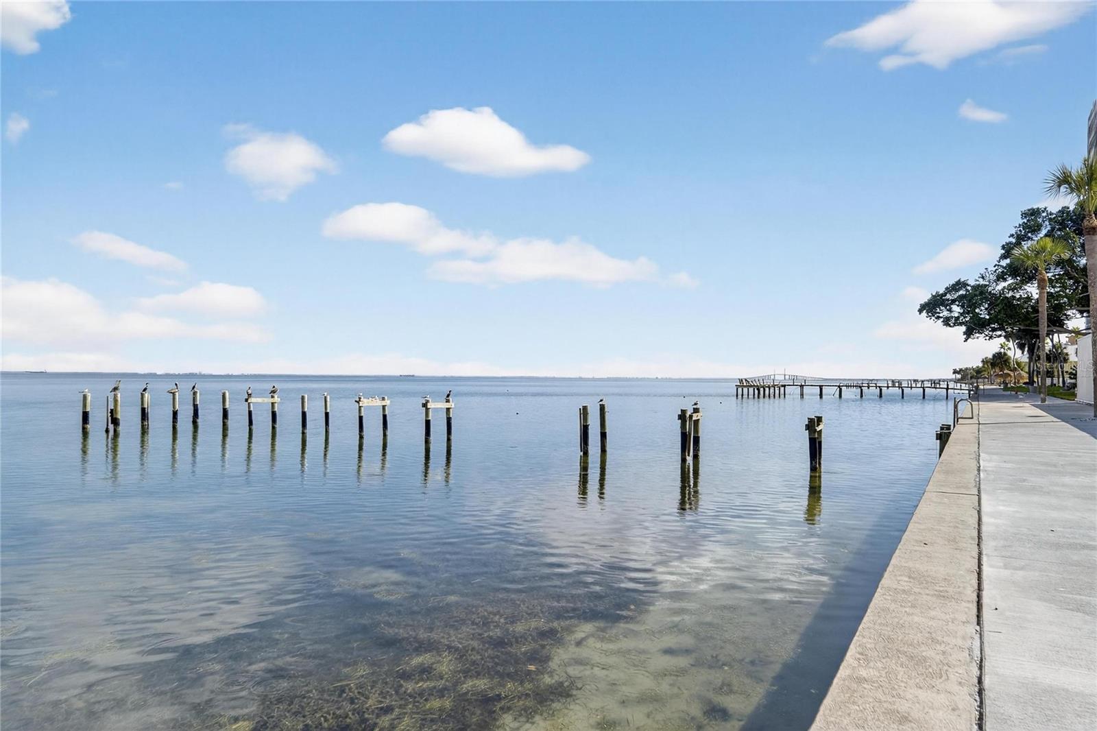 BRIDGETON NORTH CONDO - Residential Lease