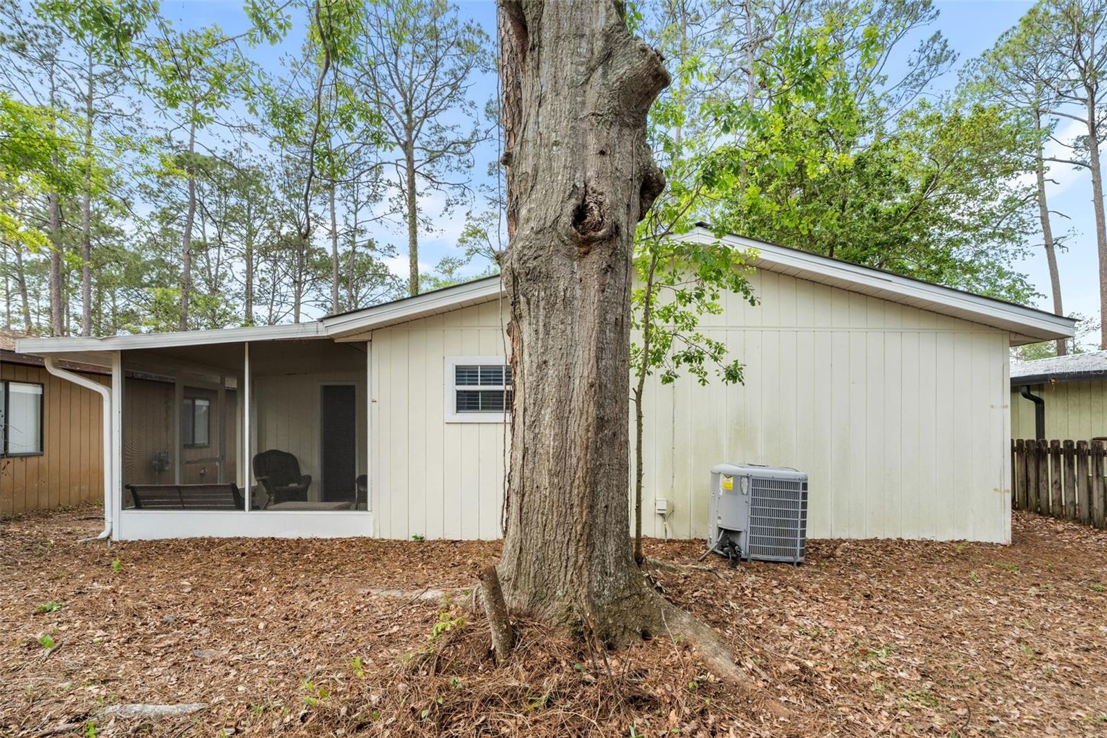 TURKEY CREEK FOREST UNIT 1 REP - Residential