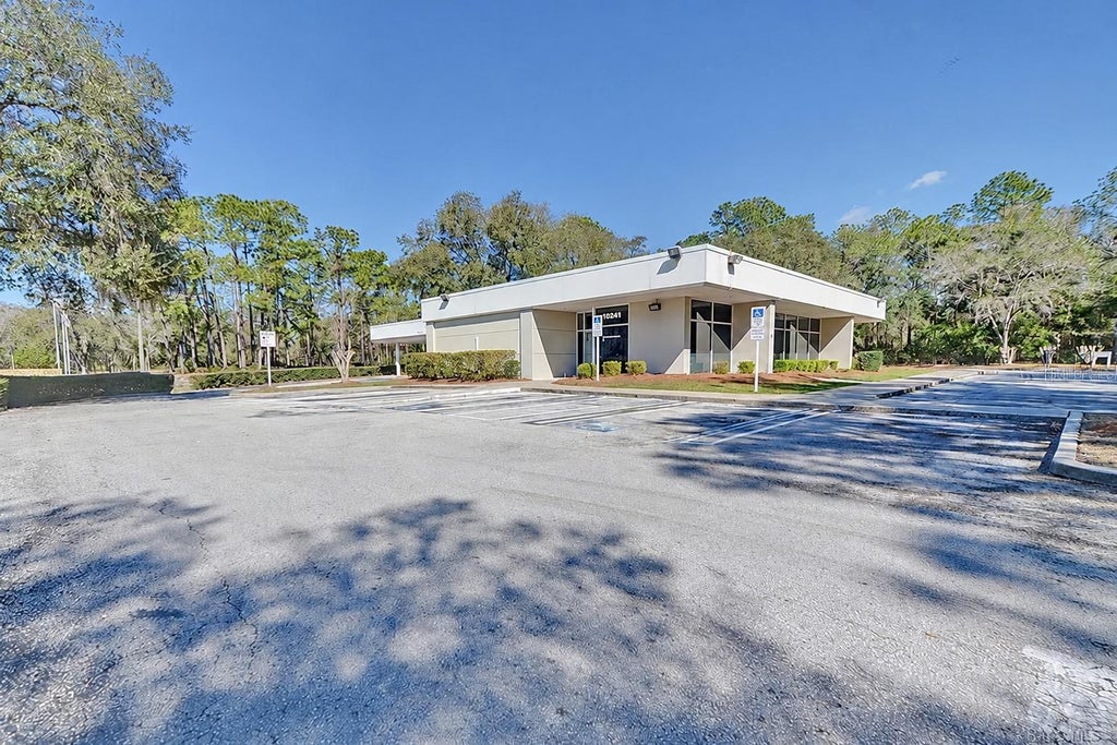Photo of 10241 N Florida Avenue, Citrus Springs, FL 34434 (MLS # W7890253)