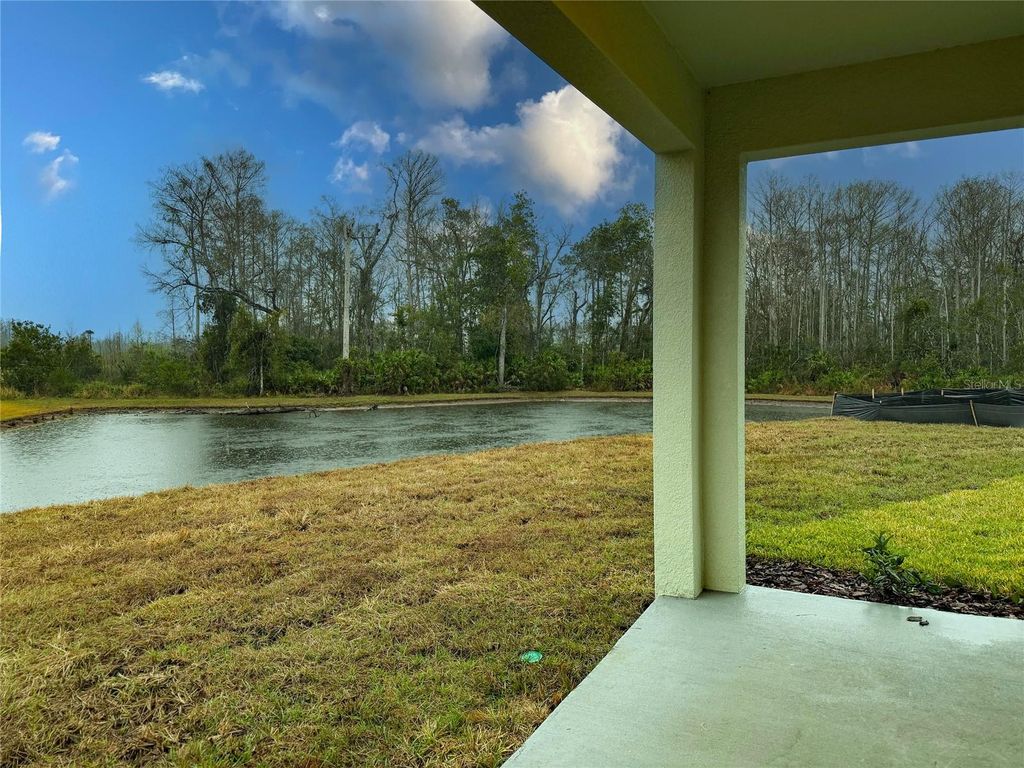 Photo of 11346 Velvet Apricot Drive, Land O Lakes, FL 34638 (MLS # TB8481432)