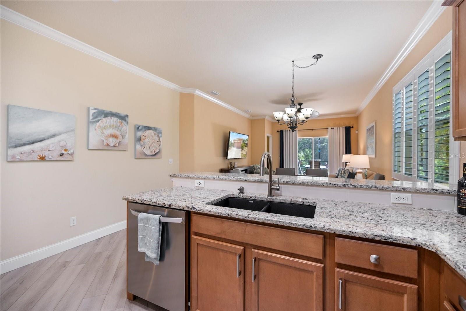 STONEYBROOK AT VENICE - Residential