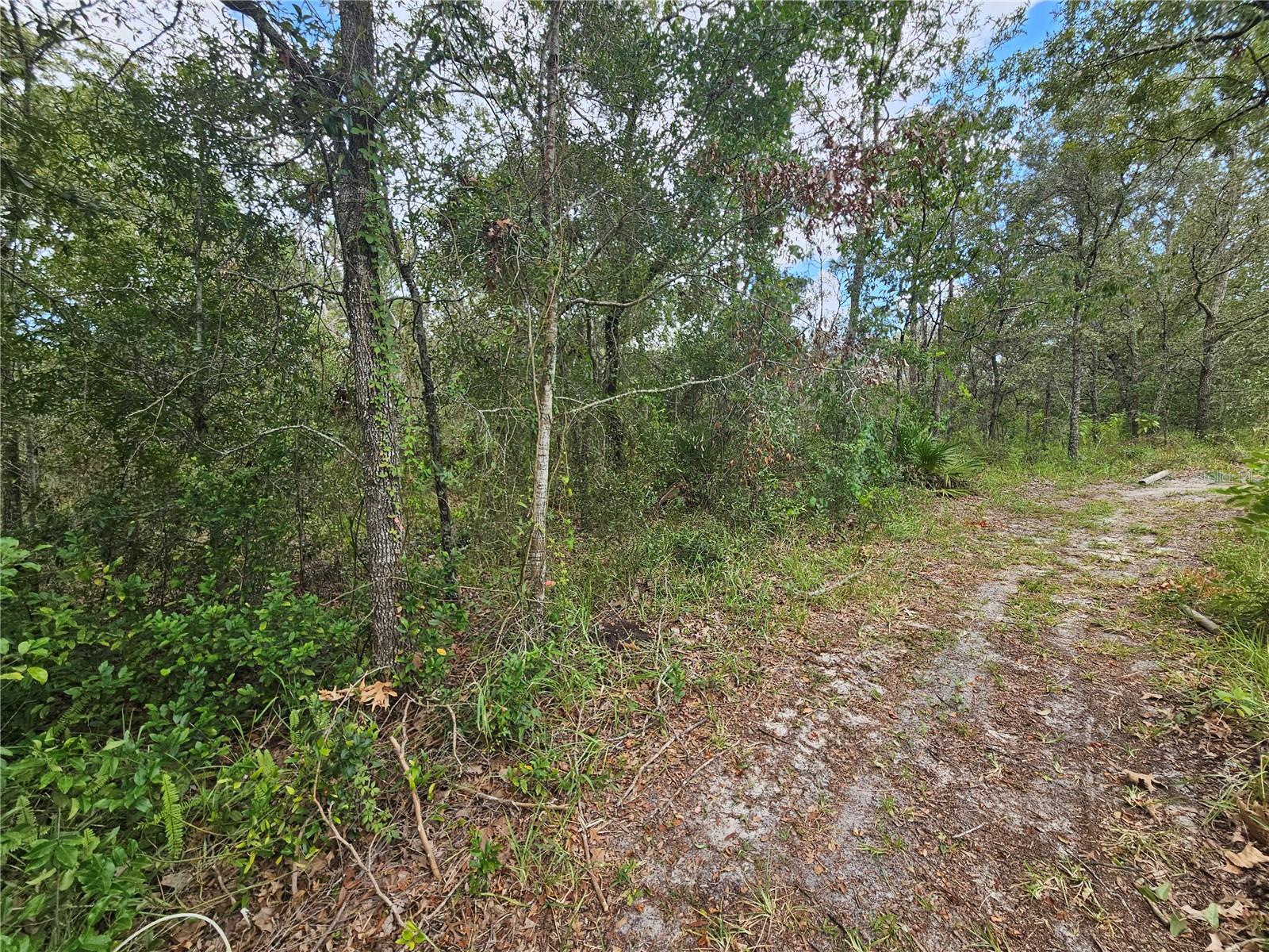 Call your builder and tell them you've found the perfect spot!! Custom build your dream home on this HIGH AND DRY 1.13 acre homesite quietly situated at the end of a paved, cul de sac, county street. Conveniently located only 3 minutes from restaurants an 8 minutes from grocery stores. Site offers a slightly hilly topography with no drainage or water issues. Only 10.1 miles to Hernando Beach and 7 miles to the Weeki Wachee nature preserve. Local hospital and local schools only 4 min away. Just minutes from the Suncoast Parkway offering a 37.4 mile commute to Tampa and Tampa International Airport. Neighboring properties feature custom built conventional homes. NO HOA FEES OR RULES, NO CDD FEES, and modest deed restrictions. Mobile homes are not allowed.