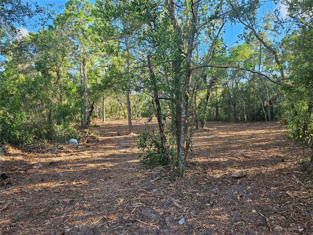 Photo of Alford Lane, Spring Hill, FL 34610 (MLS # TB8414754)