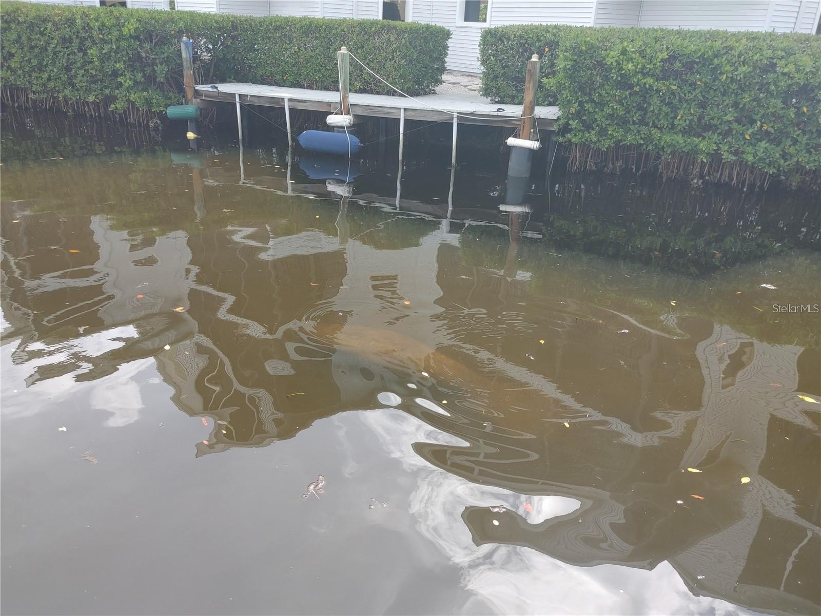 RIVER PLACE - Residential