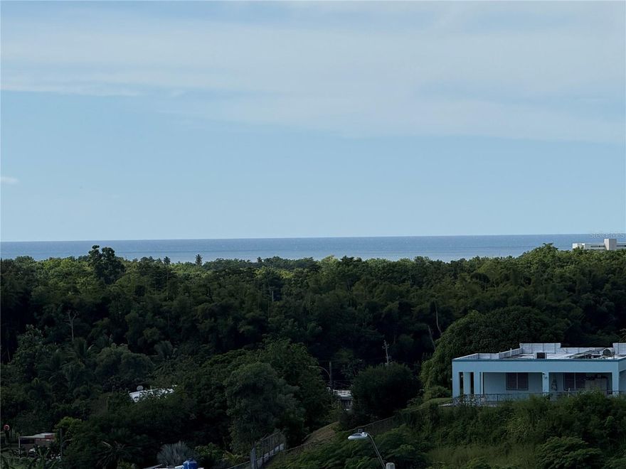 Imagine waking up every day surrounded by tranquility and nature, on a 1,655-square-meter lot strategically located on a hill that offers a partial view of the majestic ocean. This land, ready for sale, combines spaciousness, privacy, and a privileged location that invites you to dream of the perfect home or a unique project. The sea breeze, the elevated surroundings, and the potential of this space make it impossible not to want to visit it immediately. Come see it for yourself and discover how this place can become the setting for your next big investment or the home you've always imagined!

Located in the private, newly developed community of Palmas Real, this lot offers an ideal setting within a quiet cul-de-sac. It features its own private entrance from the main road and ensures added privacy with no homes situated behind the property. This is a prime opportunity to build in an exclusive area. The land is already connected to water lines and electricity, providing peace of mind that all utilities are in place.