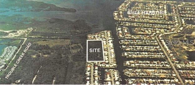 TAMPA TARPON SPGS LAND CO - Land