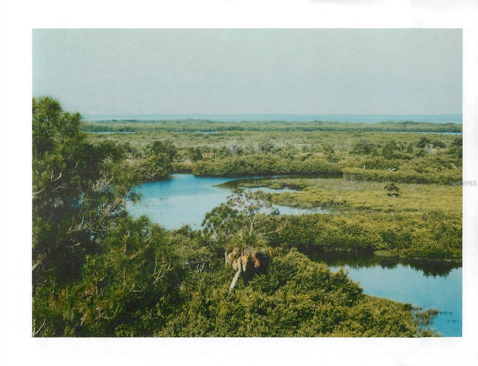 TAMPA TARPON SPGS LAND CO - Land
