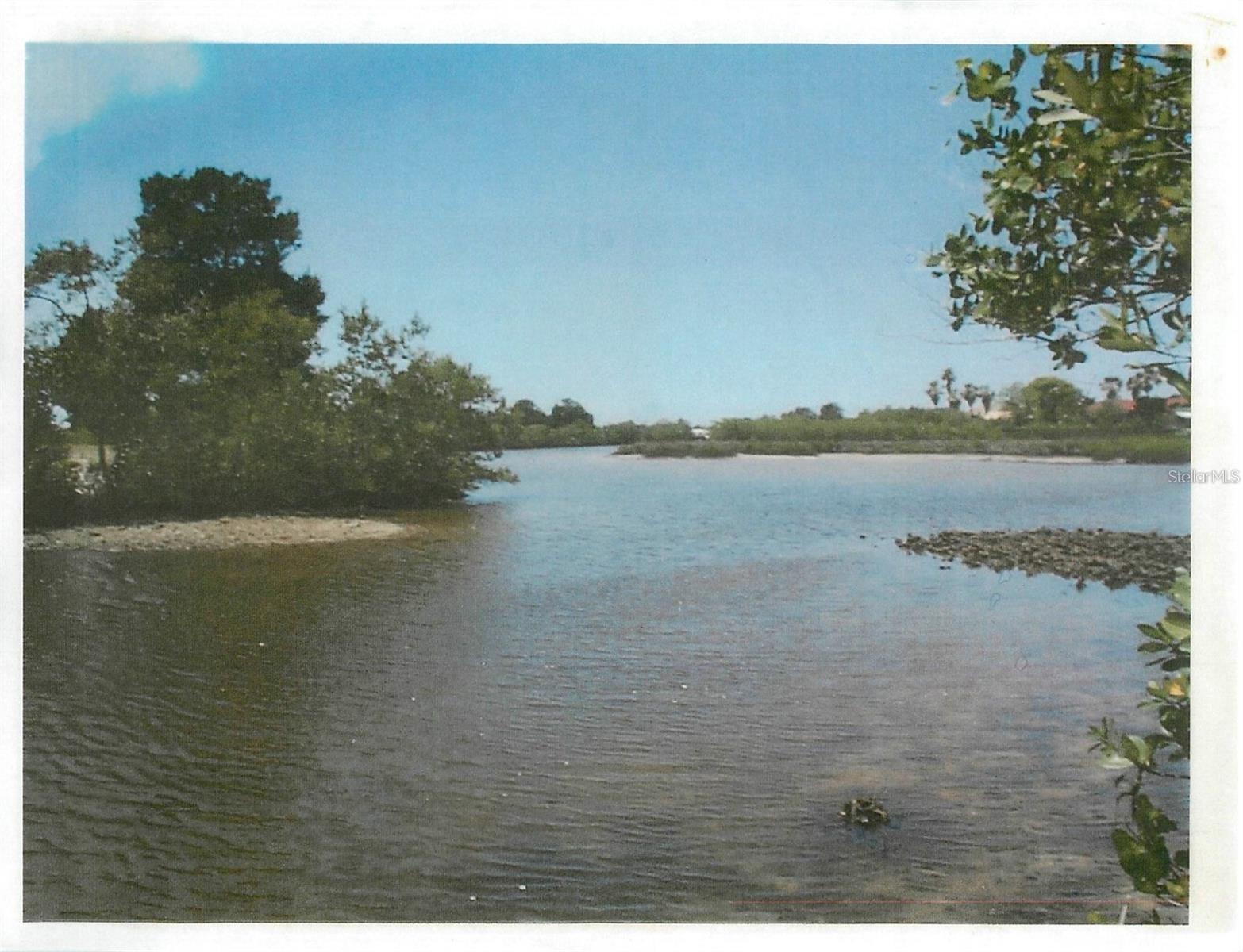 TAMPA TARPON SPGS LAND CO - Land