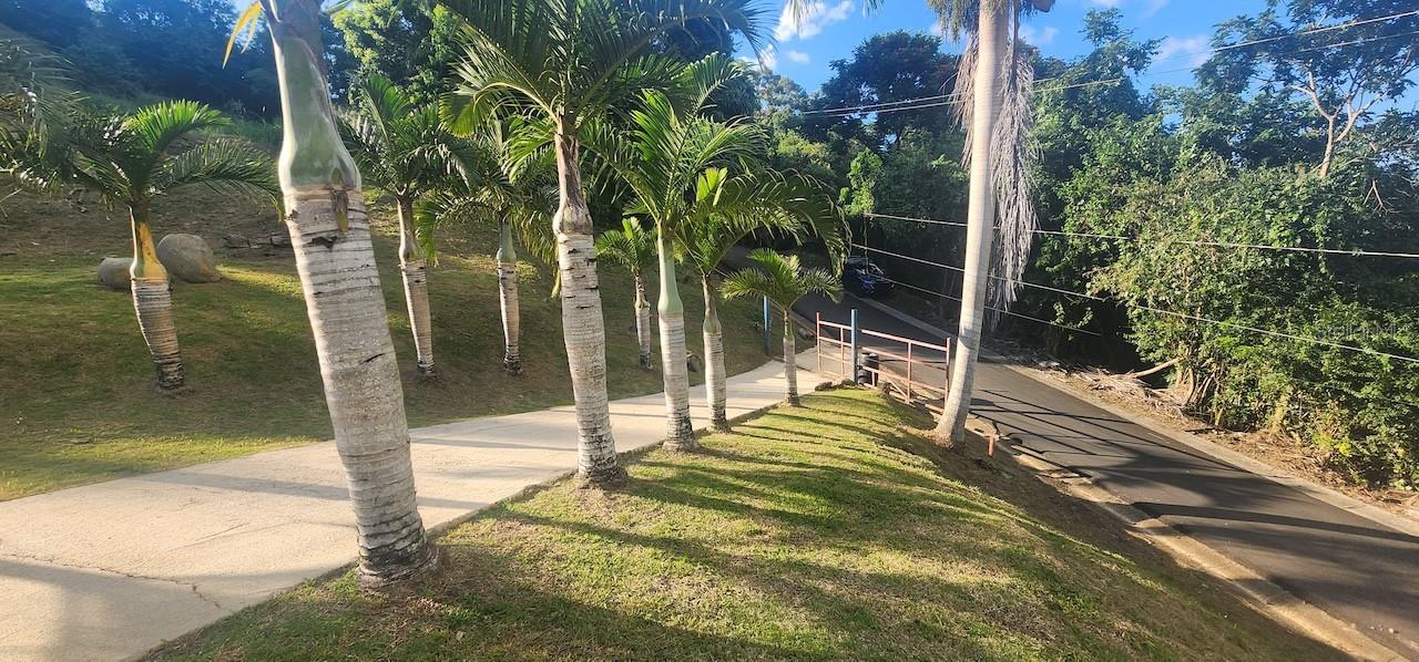 CEDROS WD - Residential