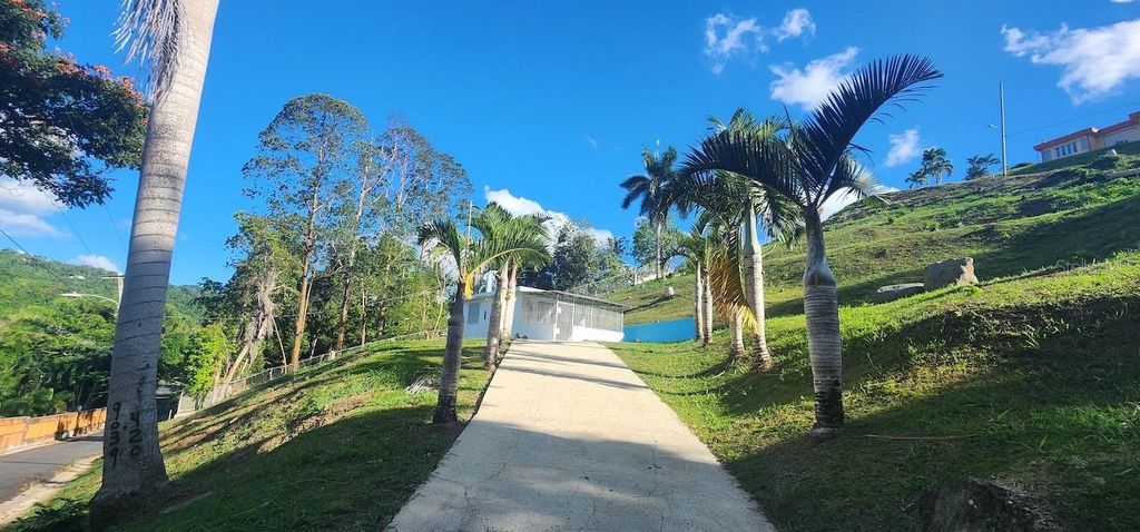 Photo of Lot A &amp; B Las Papaya Cedros Wd, Carr.185 Km 12.2 Int, Carolina, PR 00987 (MLS # PR9118517)