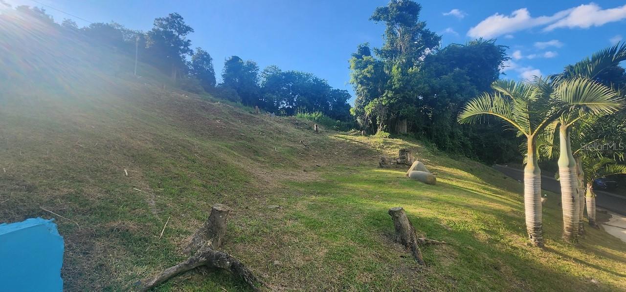 CEDROS WD - Residential