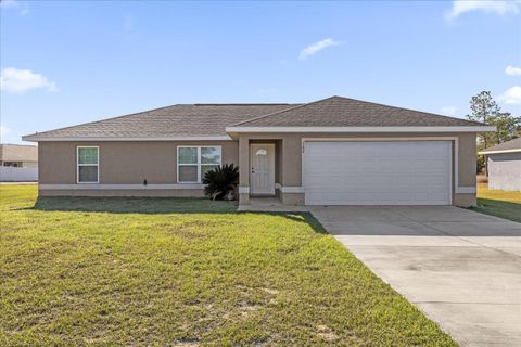 Photo of 162 Malauka Run, Ocklawaha, FL 32179 (MLS # O6385685)