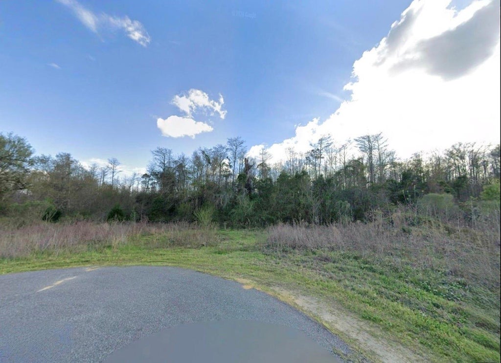 Photo of Unassigned Buckhead Drive, Grand Ridge, FL 32442 (MLS # TB8543643)