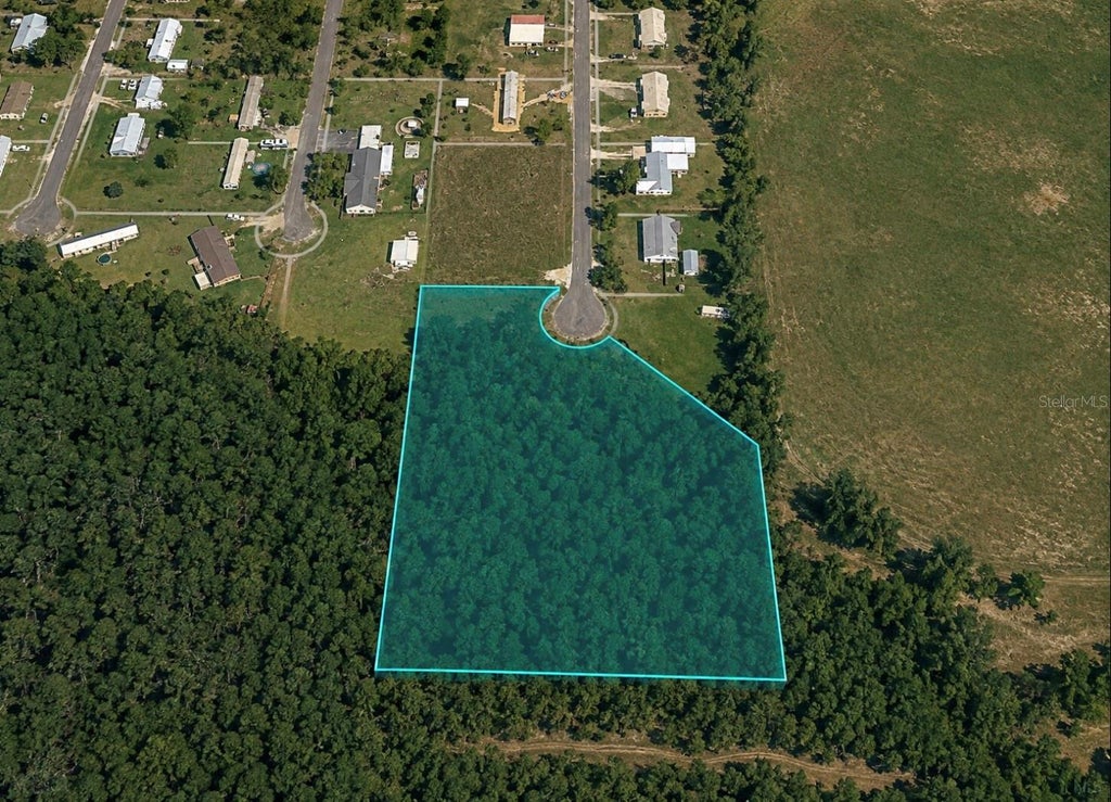 Photo of Unassigned Buckhead Drive, Grand Ridge, FL 32442 (MLS # TB8543643)