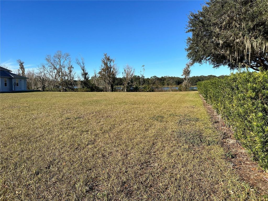 Photo of 1113 Rally Drive, Polk City, FL 33868 (MLS # L4949746)