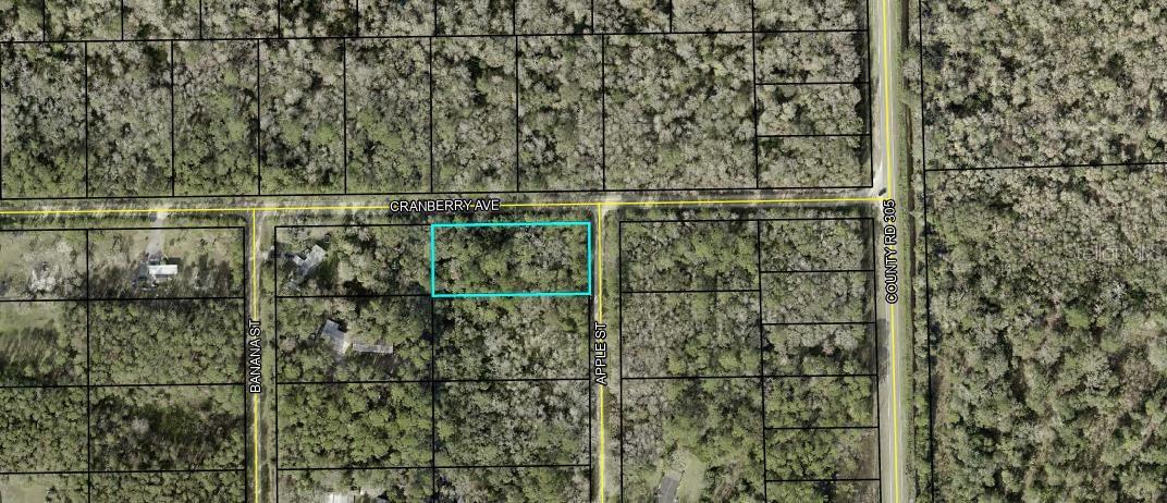 Are you looking for an investment or a place to build your future home in Flagler County Florida? Beautiful Country living at its finest! Within 25 minutes of beaches, and shopping! Zoning allows a manufactured home as well! Located just off CR 305, with very little traffic.