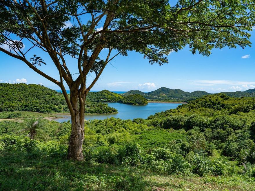Discover an exceptional 20.99-acre opportunity near Lago Patillas in Patillas, Puerto Rico, offering a rare combination of mountain views, lake views, and a rocky, bubbling river, all set within a truly serene natural environment. This expansive property is zoned C-R (Residential–Commercial), making it ideal for tiny home communities, multifamily units, eco-lodges, and short-term rentals such as Airbnb and vacation homes.

Wake up to panoramic mountain scenery, enjoy the calming sounds of a natural river flowing through the landscape, and take in picturesque views of Lago Patillas, a true fisherman’s paradise known for bass fishing, kayaking, and peaceful lakeside enjoyment. The land lends itself beautifully to walking and nature trails, wellness retreats, and low-density residential or tourism-focused projects designed around privacy, tranquility, and sustainability.

Despite its peaceful setting, the property offers convenient access to nearby towns and main routes, creating the perfect balance between seclusion and accessibility. Patillas is home to some of the most desirable natural attractions in southern Puerto Rico, including Lago Patillas Recreation Area, Bosque Estatal de Carite, Charco Azul, and Patillas Beach, all popular destinations for outdoor enthusiasts, hikers, and visitors seeking authentic island experiences.

Whether you are an investor seeking a high-demand Airbnb or short-term rental location, a developer envisioning a mountain retreat or eco-friendly community, or a buyer looking for a private residential sanctuary, this 20.99-acre Patillas property near Lago Patillas represents a rare and highly versatile real estate opportunity with exceptional views, natural features, and long-term value.