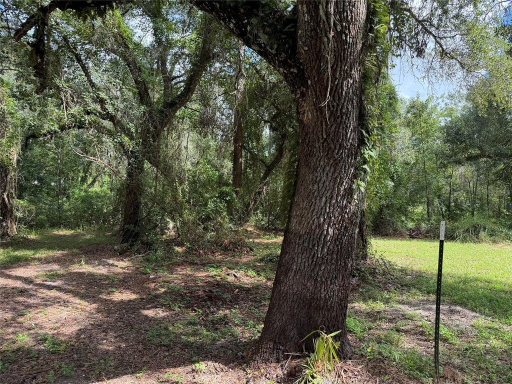 Photo of 3254 Barth Road, Dade City, FL 33523 (MLS # GC543411)
