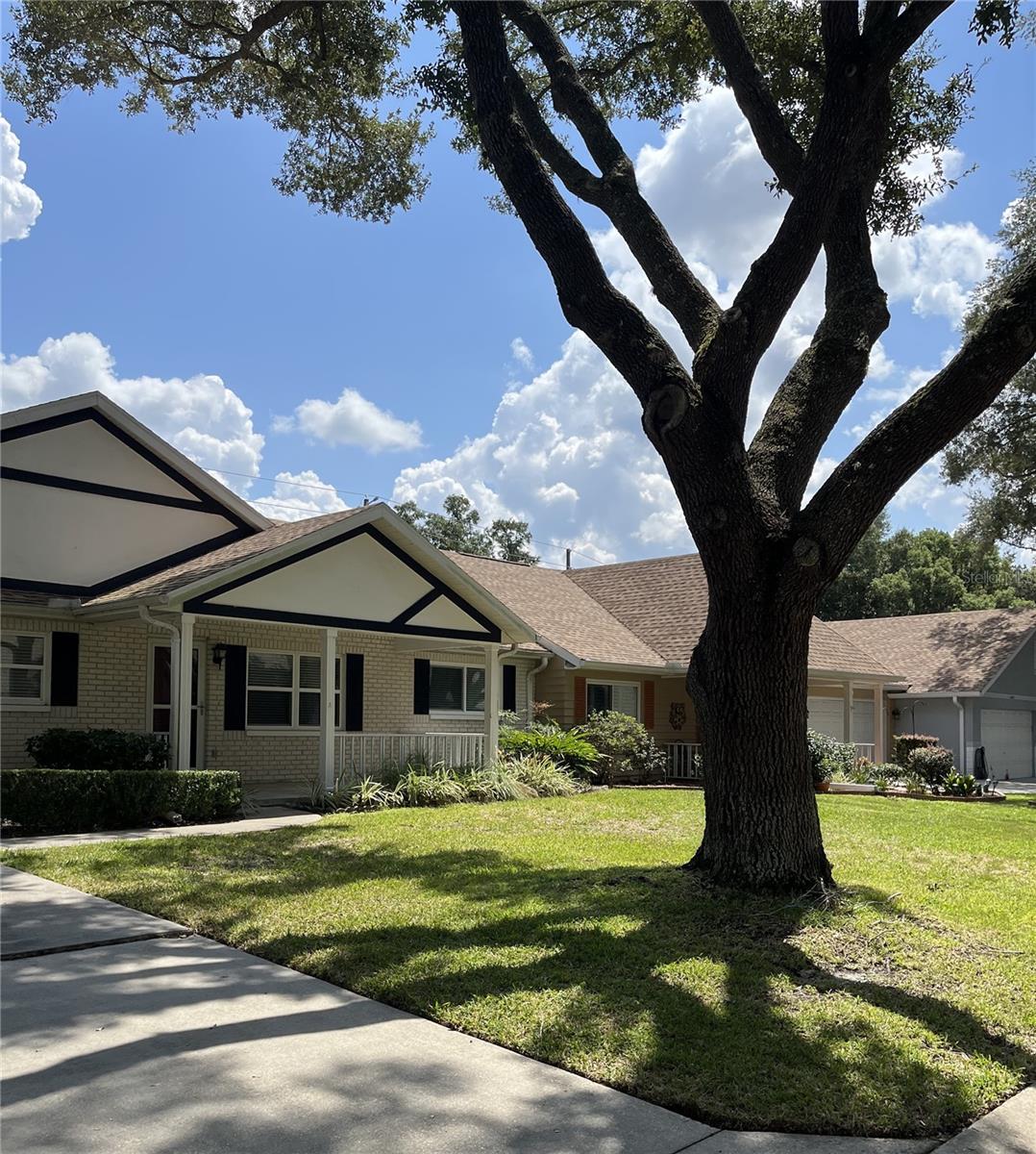 ON TOP OF THE WORLD - Residential Lease