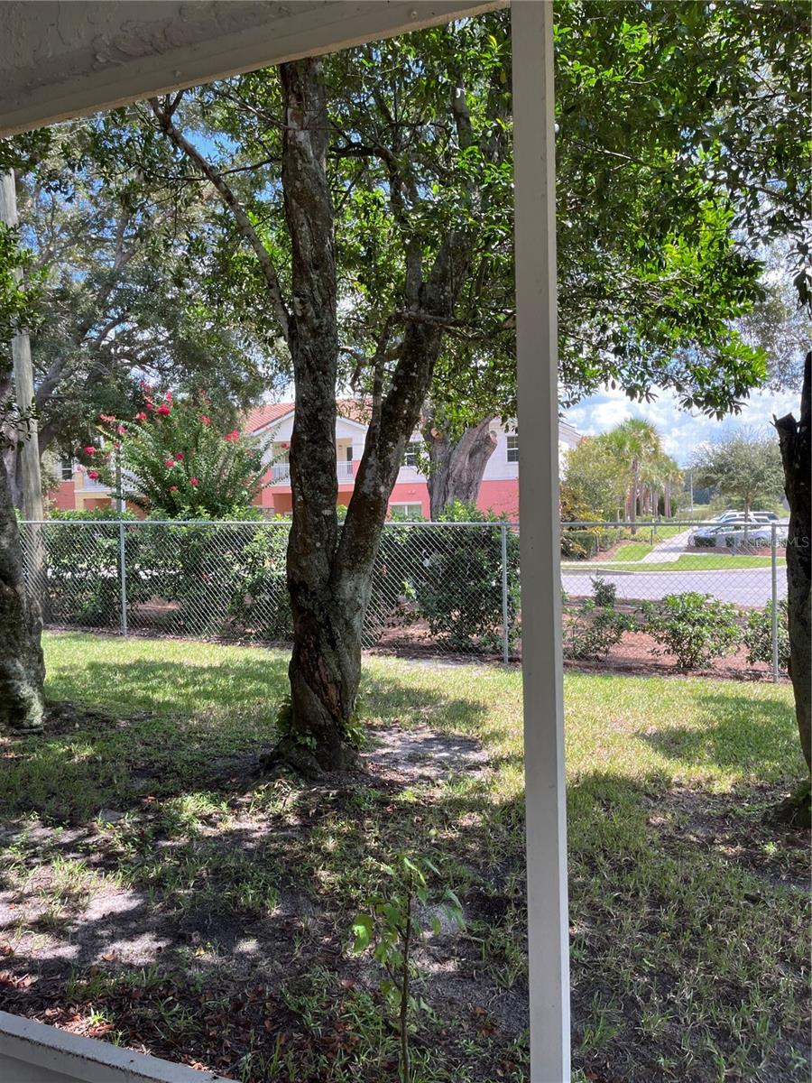 ON TOP OF THE WORLD - Residential Lease