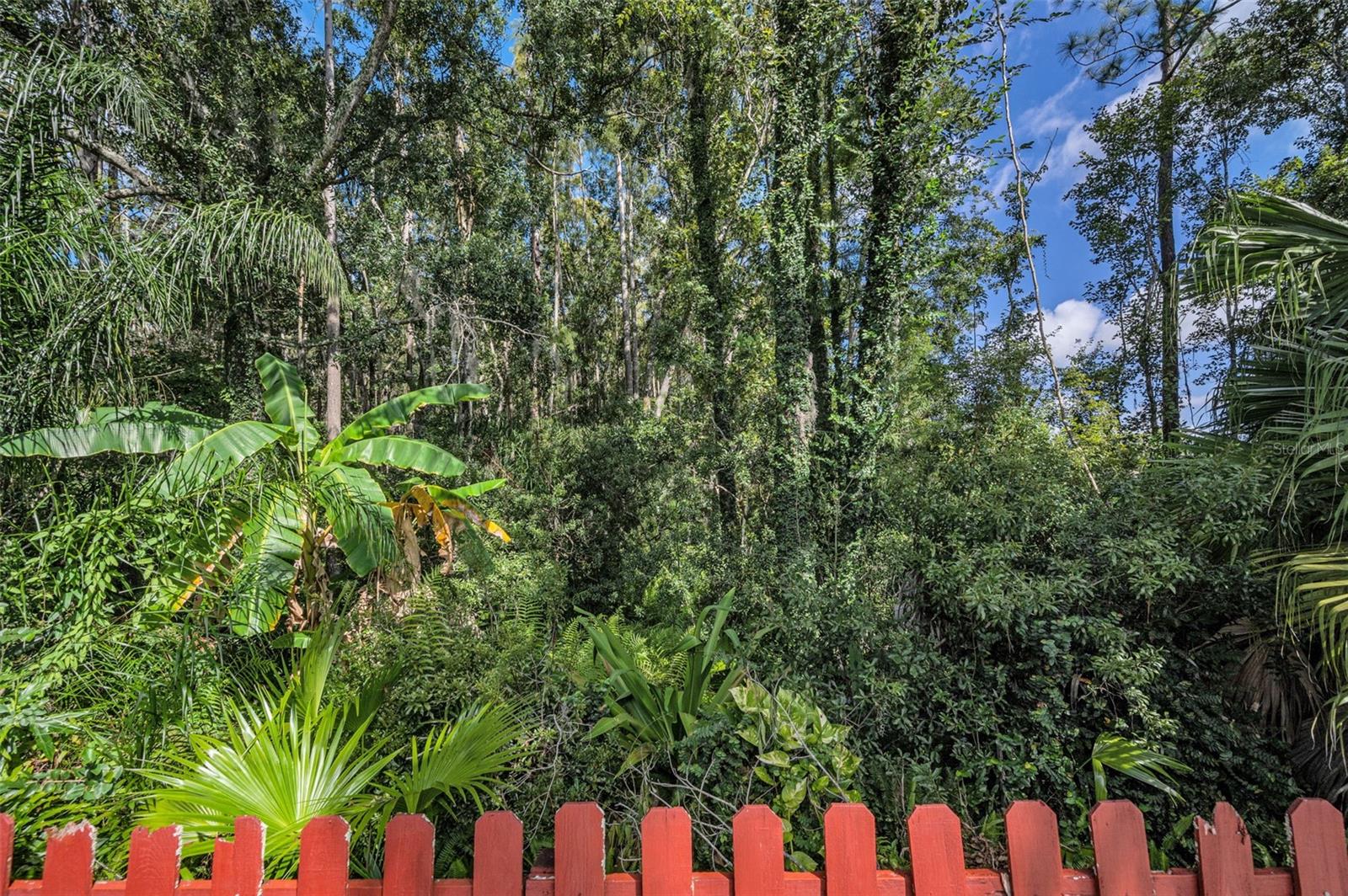 LAKESHORE VILLAGE AT WOODFIELD - Residential