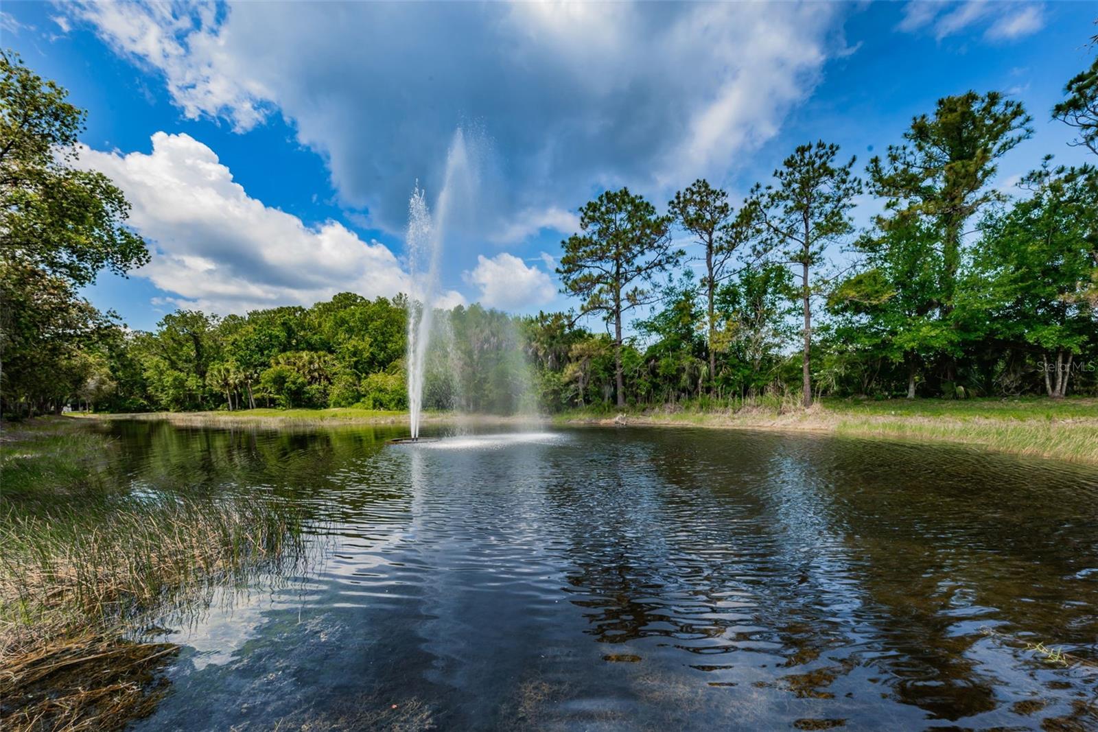 LAKESHORE VILLAGE AT WOODFIELD - Residential