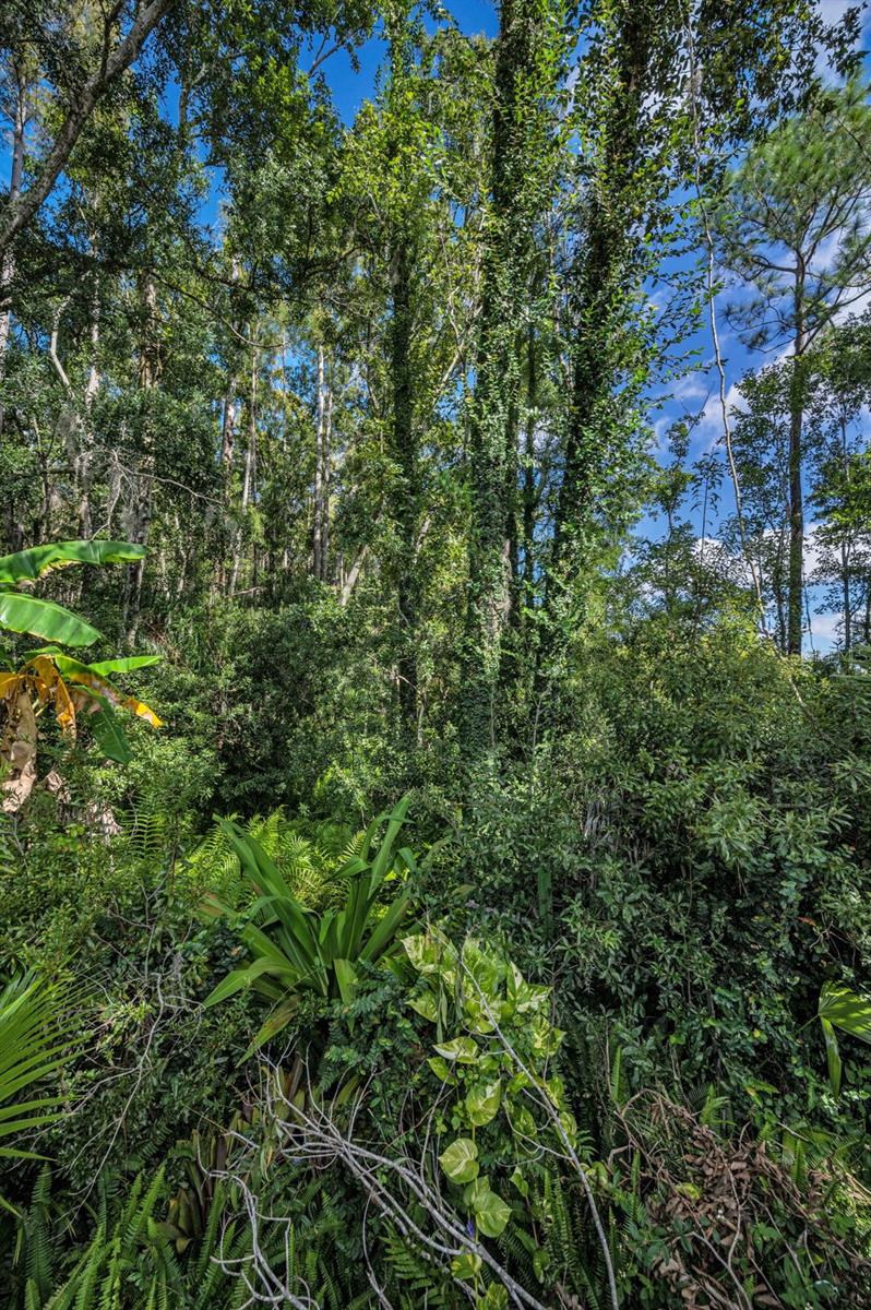 LAKESHORE VILLAGE AT WOODFIELD - Residential